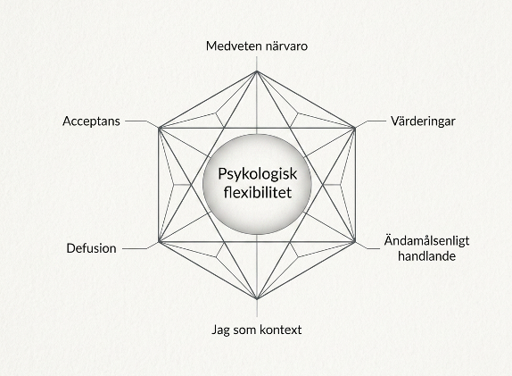 Grafisk illustration av ACT-hexaflexen med de sex processerna för psykologisk flexibilitet inom idrottspsykologi och KBT